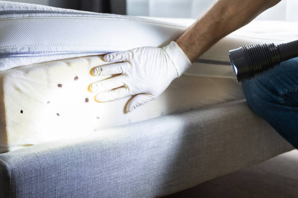 Best Pest Removal Services  in Pleasant Hills, PA