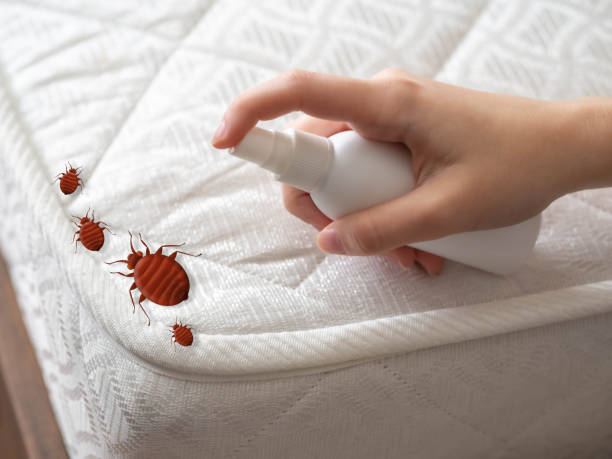 Best Local Pest Control Services  in Pleasant Hills, PA