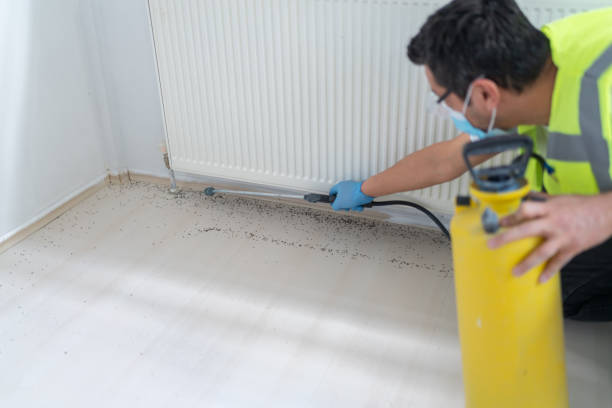 Best Pest Inspection Near Me  in Pleasant Hills, PA