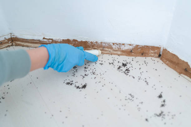 Best Residential Pest Control  in Pleasant Hills, PA