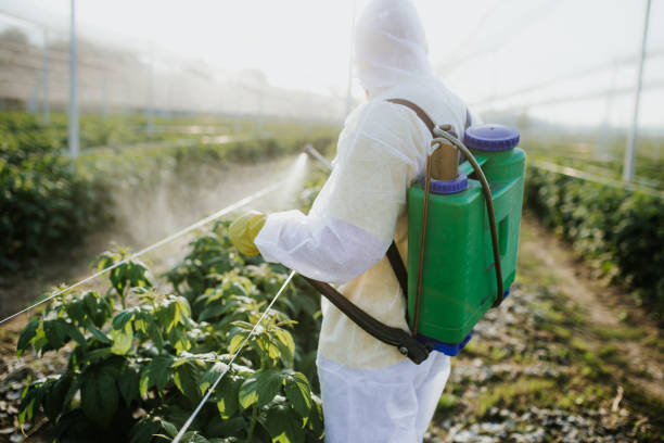 Trusted Pleasant Hills, PA Pest Control Experts